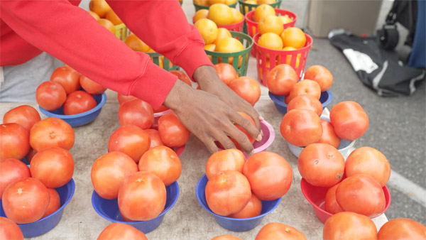 Farmers Market at Bannerman